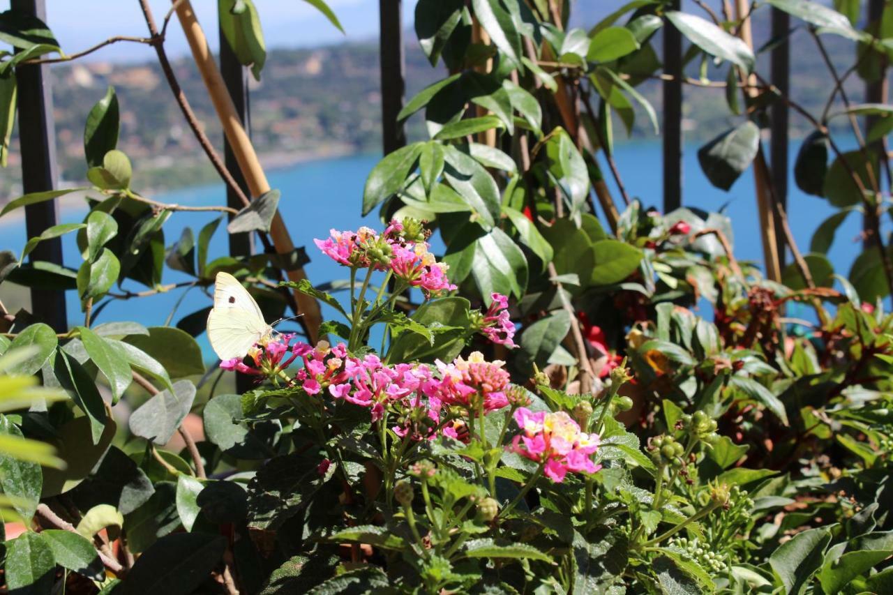 La Casetta Superior Castel Gandolfo Eksteriør billede